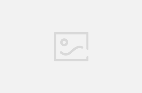 fisch codes[投稿人：asde,联系：1017997014]